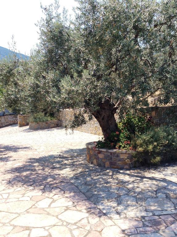 Angelica Villas Hotel Apartments Epidaurus Exterior foto